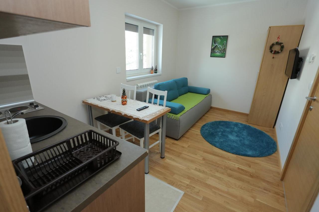 Mipet Apartmani Ζλάτιμπορ Εξωτερικό φωτογραφία